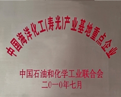中國海洋化工壽光產(chǎn)業(yè)基地重點企業(yè)