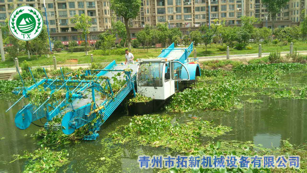 滸苔、海藻打撈船